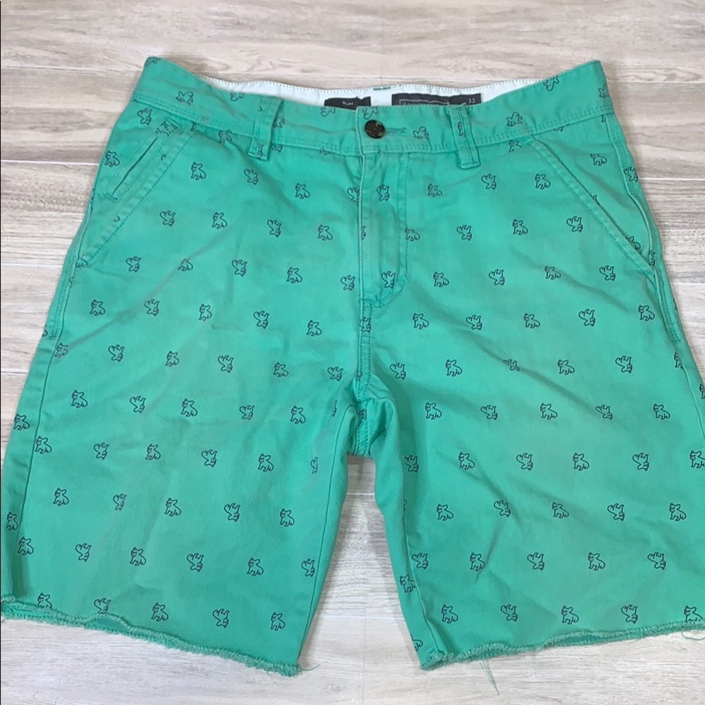 Hawking a McGill Green Patterned Men Slim Shorts size 32”